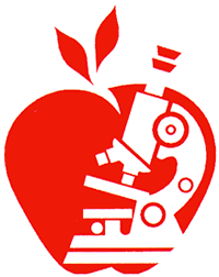 Diabetes Research and Wellness Foundation