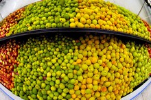 Fruit